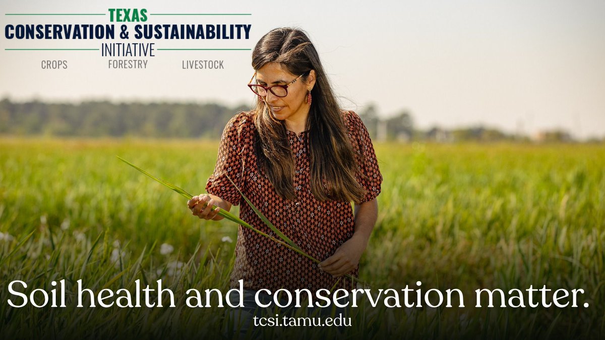 TSSWCB's tweet photo. The Texas Conservation and Sustainability Initiative (TCSI) is now accepting applications for technical assistance and cost-share funding to help producers implement conservation practices that make a real impact.

Apply today: https://t.co/VGycJfG5JR https://t.co/ZshweUQsbF