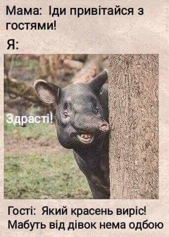 Гена Гена (@123gena1472) on Twitter photo 