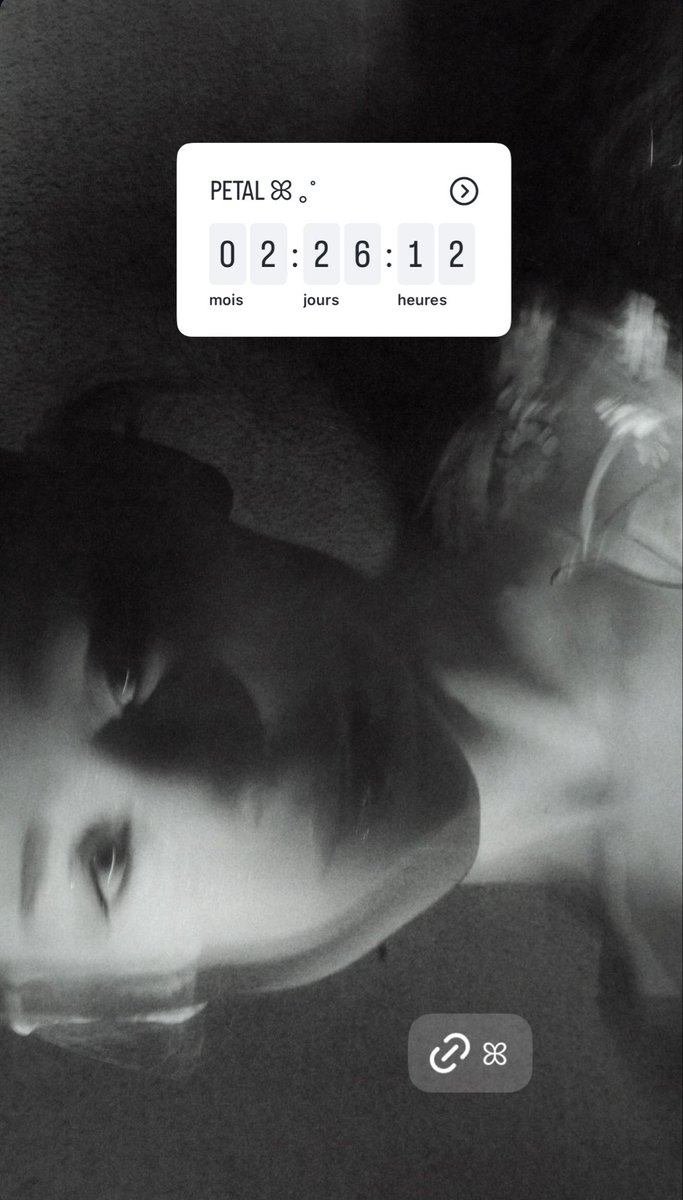 Ariana Grande Belgium ꕤ tweet media