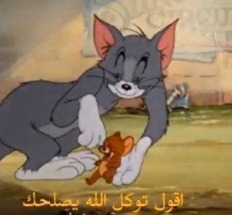 رؤى🪻 tweet media