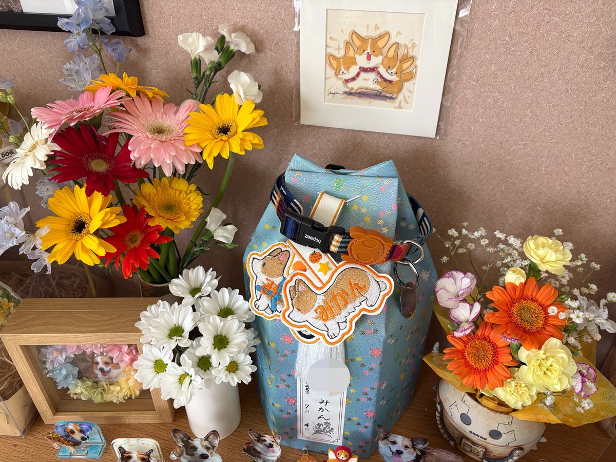 ☆みかん☆ tweet media