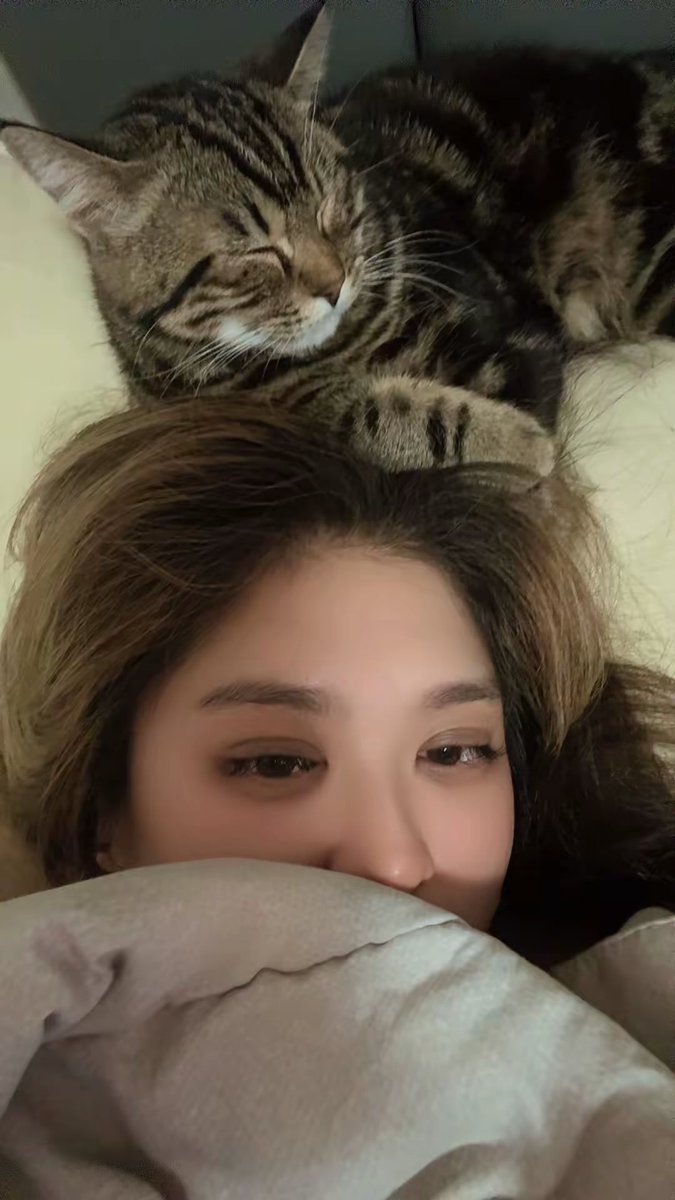 ChaaimCN's tweet photo. นอนสูงจังอ่ะ https://t.co/vRiX91cKhO