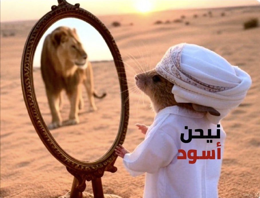 MBS00KSA's tweet photo. @waleedalfarraj https://t.co/ieqVrxGHTM