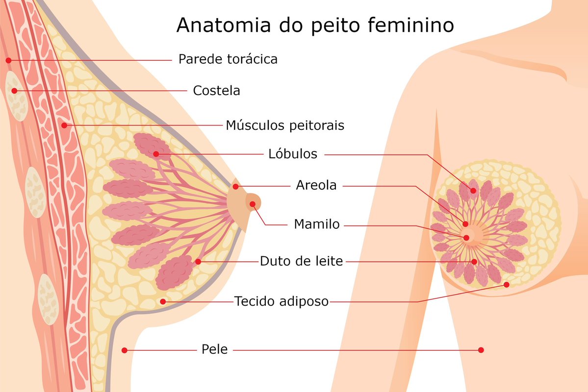 estabilizador de humor da lu schievano tweet media