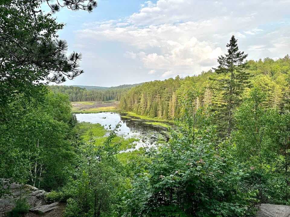 Parcs Ontario tweet media