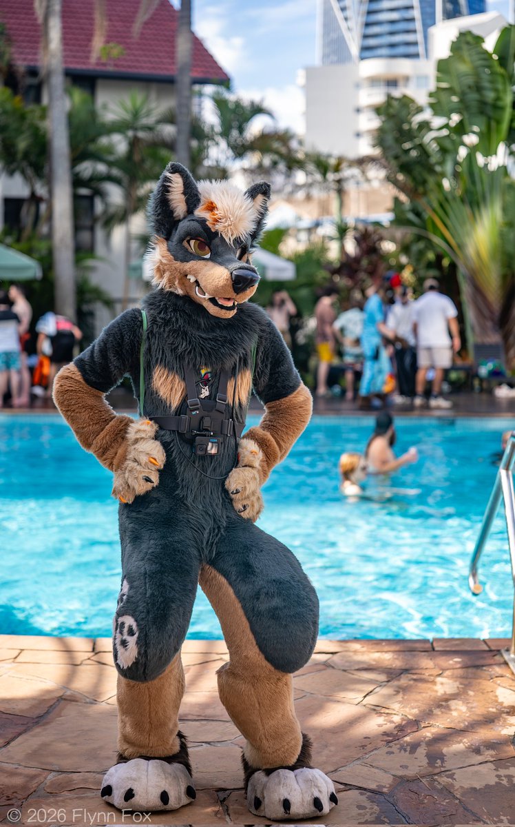 🐾 Flynn 🦊 🔜 FWA 🐾 tweet media