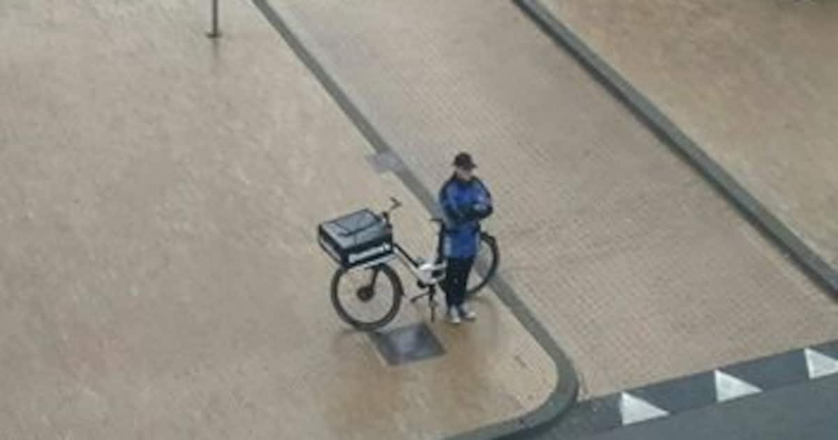 Ray Migratie tweet media