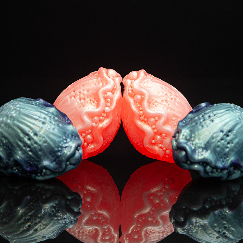 Fantasticocks1's tweet image. Seabloom eggs have risen from the deep and are now on the shop!  Beautiful, large, and looking for a new host. #fantasy #ocean #handmade #booktok