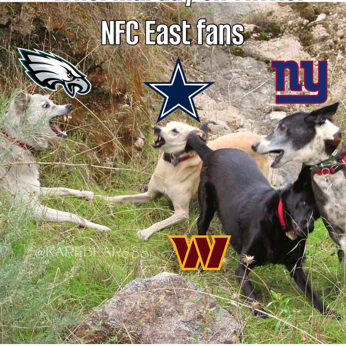 karebear888's tweet image. The NFCE fanbases be battling every day on this app. 🤺 It’s straight up war 24-7. 😂
#Commanders #Eagles #Giants #Cowboys