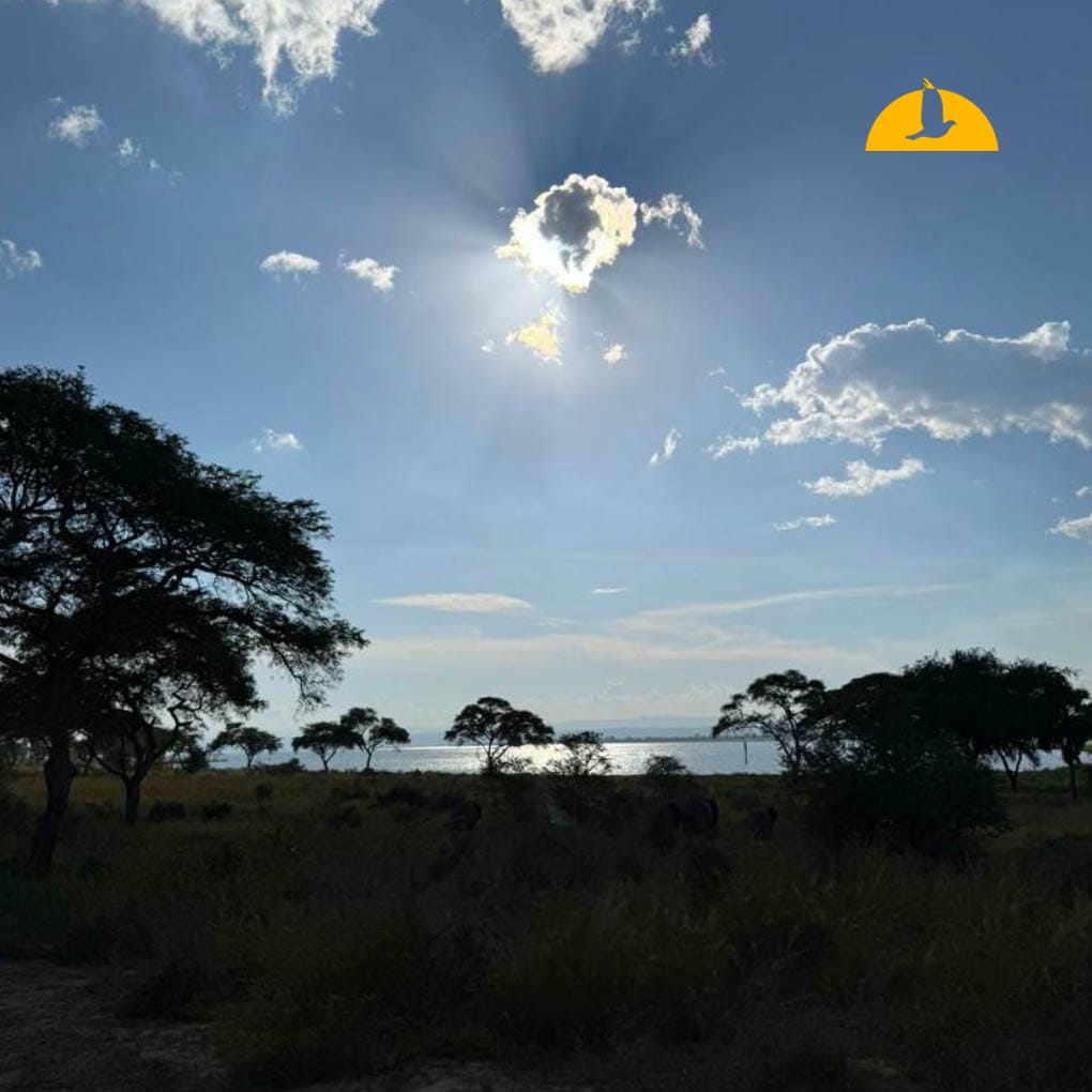 elhaneman's tweet image. Sunrise hits different. 🌅

Murchison Falls National Park

elhaneman.com
#uganda #murchisonfalls #safari #wildlife #africa #nature #sunrise #travel #explore #landscape #adventure #bucketlist