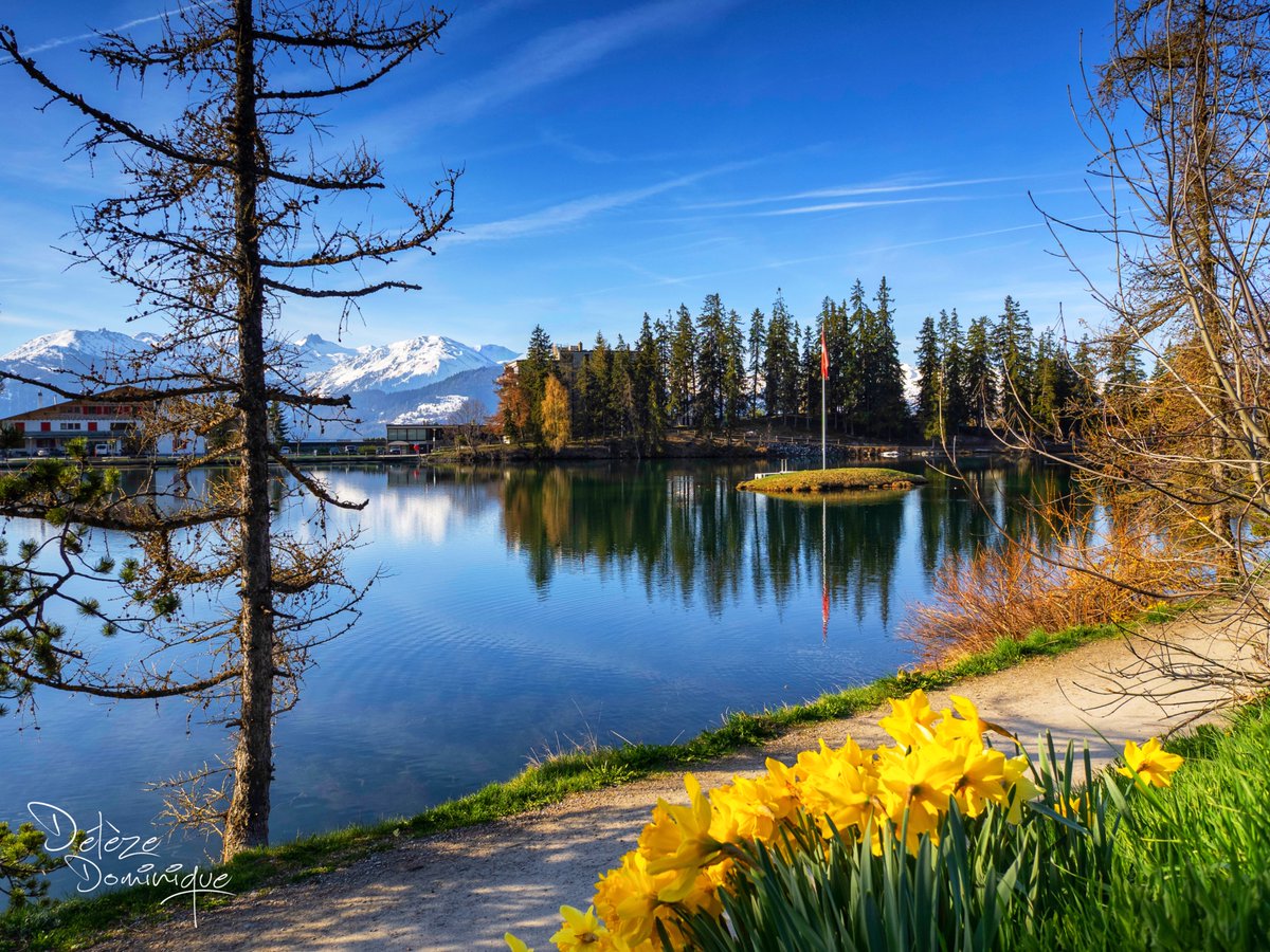 DelezeD's tweet image. Un air de printemps 🌼🌼🇨🇭
Crans-Montana, Valais, Suisse, 04/2026

#suisse #switzerland #springvibes #fleurs #lake @valaiswallis @MySwitzerland_e