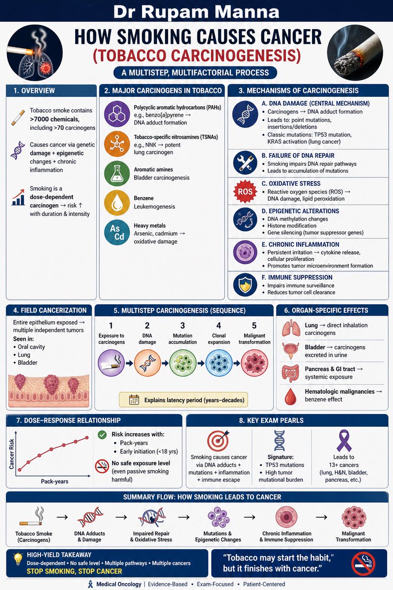 DrRupamOncology's tweet image. Smoking doesn’t just “increase risk” — it rewires biology.

DNA damage.
Mutations.
Chronic inflammation.
Immune escape.

➡️ That’s how cancer begins.

Understand the mechanism → Prevent the disease.

🧠 High-yield for any Oncology exam

#Oncology #MedEd #Smoking #Cancer