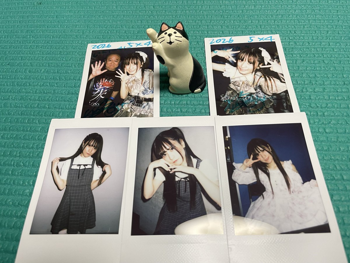 どんた tweet media