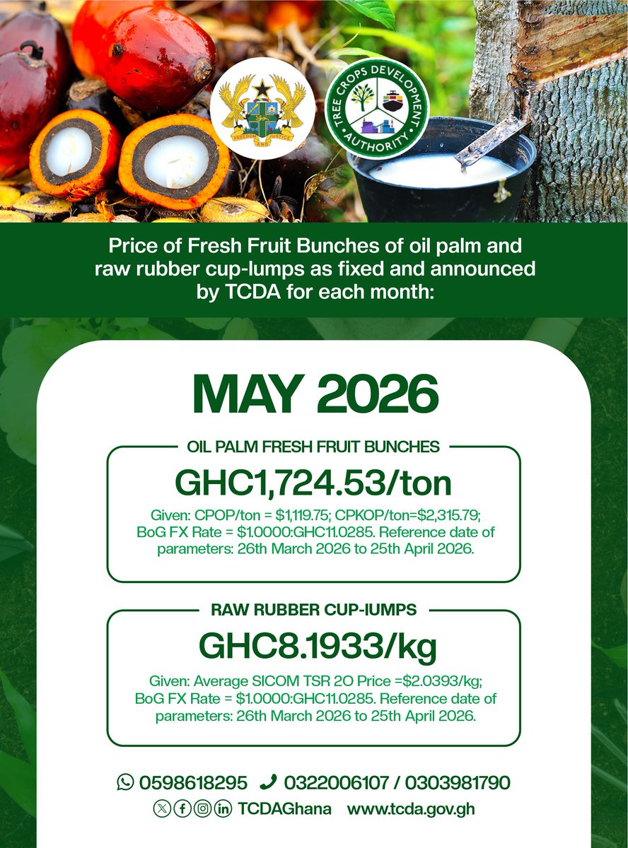 TCDAGhana's tweet image. May 2026 pricing update for Fresh Fruit Bunches (FFB) of Oil Palm and Raw Rubber Cup-Lump.

Driving value through fair pricing and strong partnerships.

See attached for details.

#cashews #coconut #mango #oilpalm #rubber #sheabutter