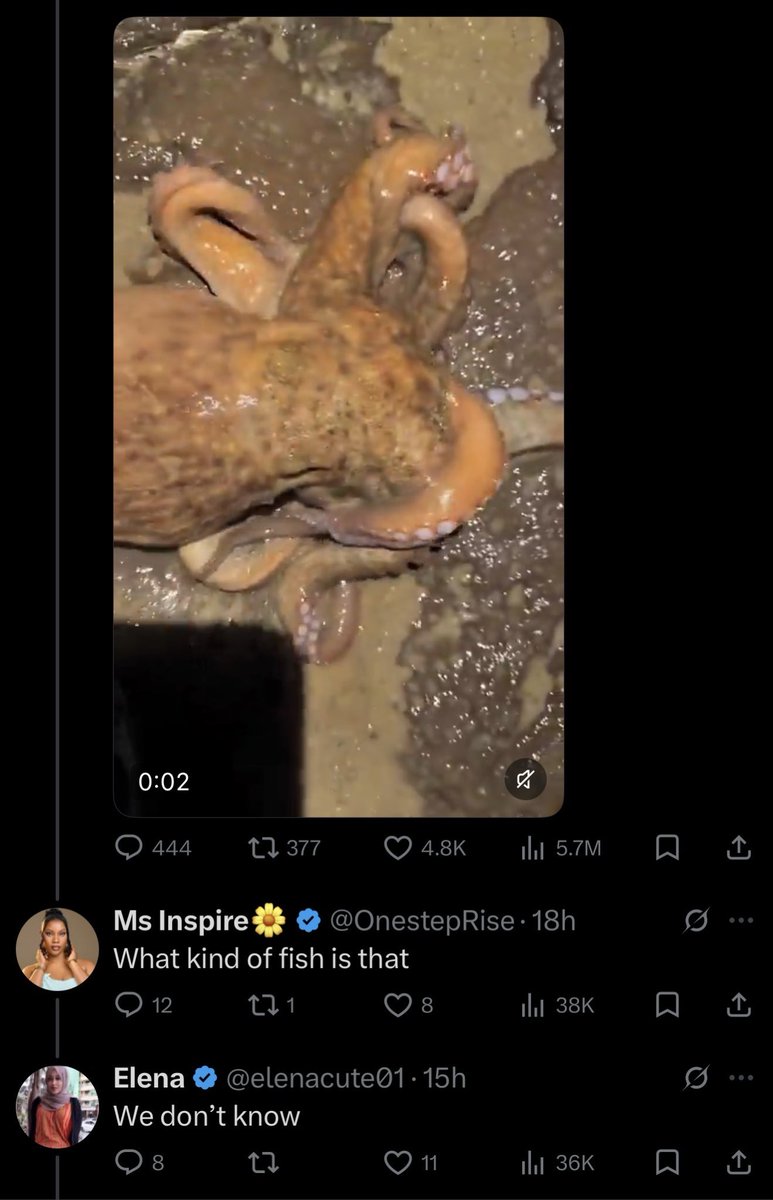 Randooo tweet media