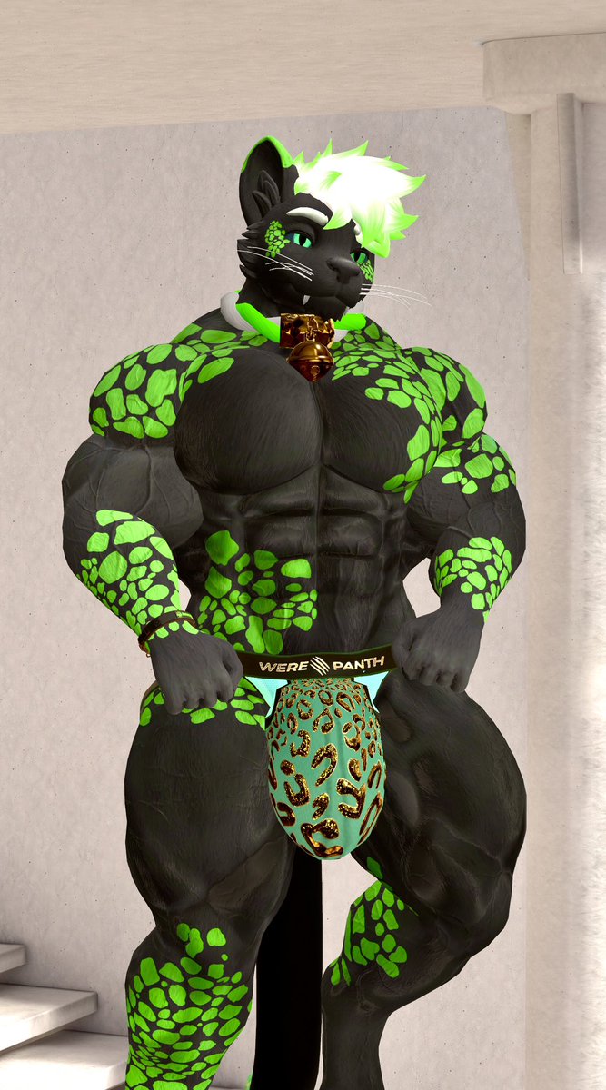 JakeWerePanther 🔜 MP 26 tweet media