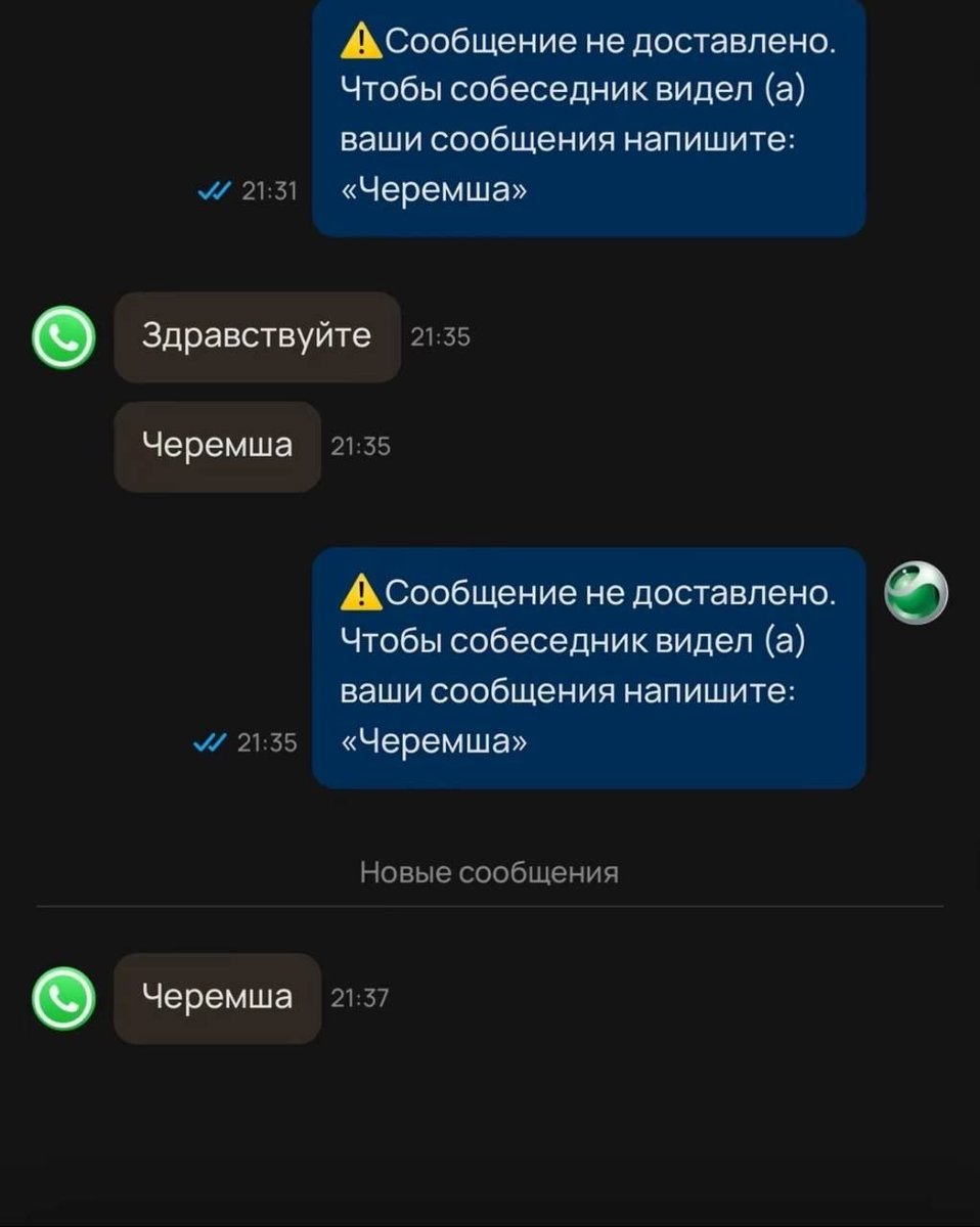 сугарбагет's selected щищьпостинг (@sugarbaget) on Twitter photo 