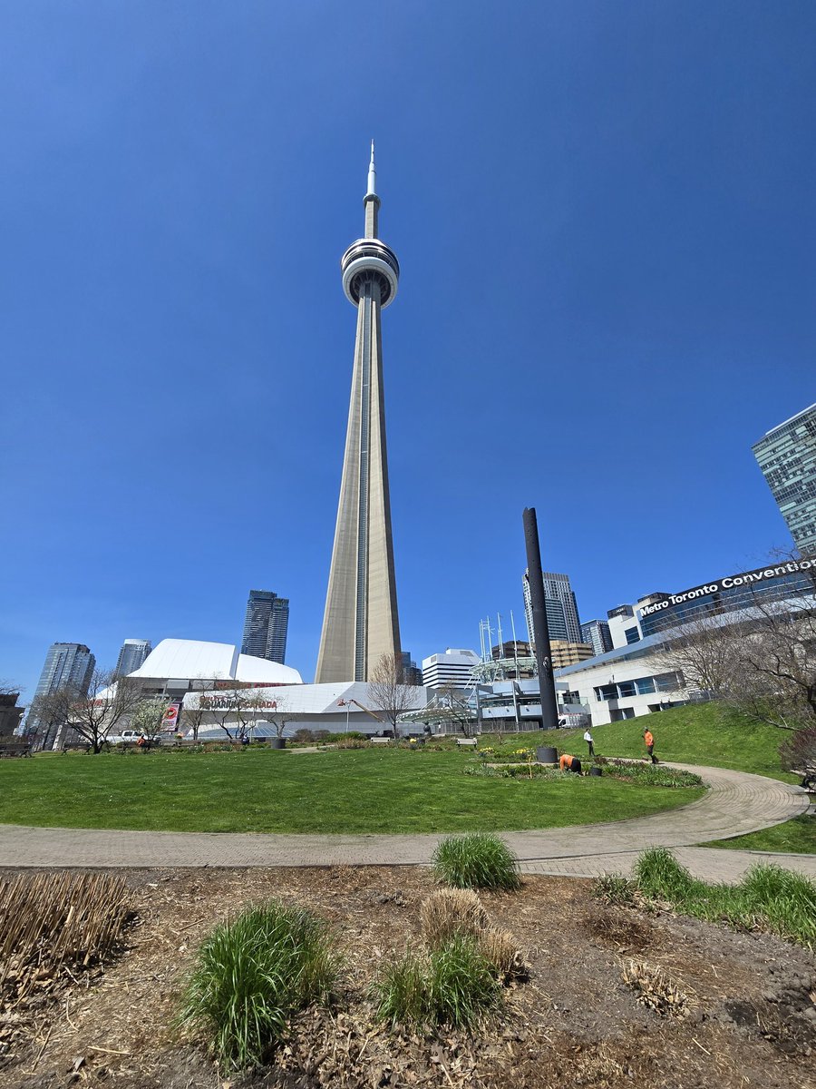 tommyboxeo's tweet image. I visited the CN Tower today!
Downtown Toronto!
#Toronto #Ontario #Canada