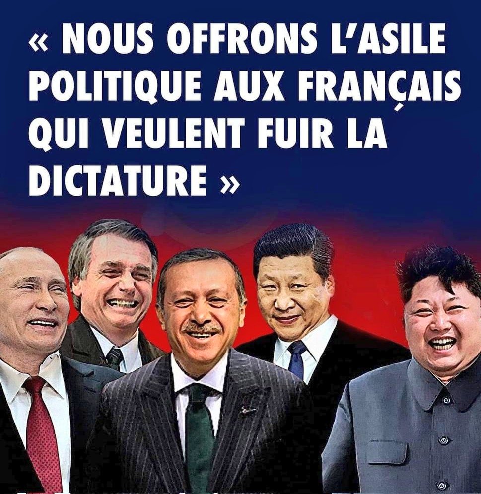 Lamuch tweet media
