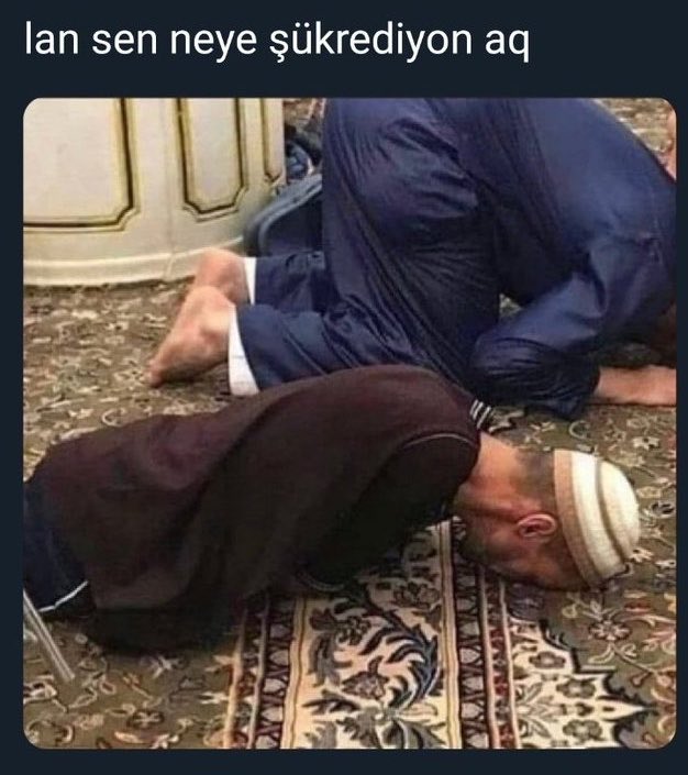 figmund sreud tweet media
