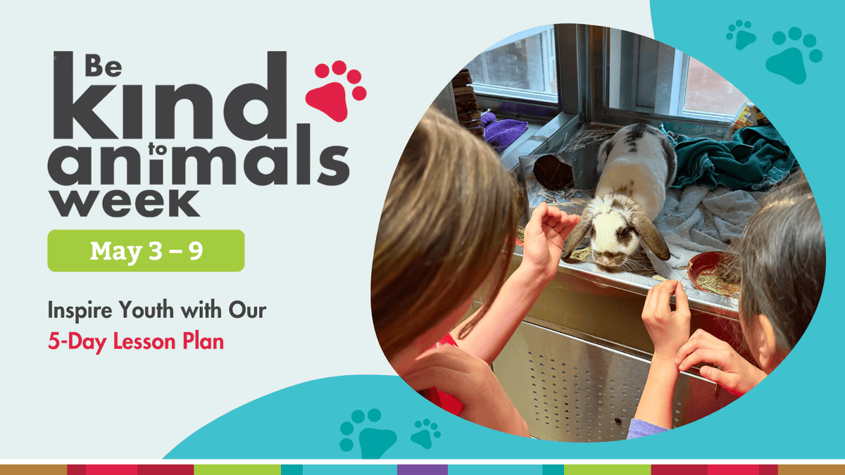 Edmonton Humane Society tweet media
