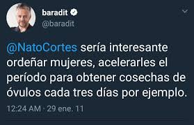 Andrea G. tweet media