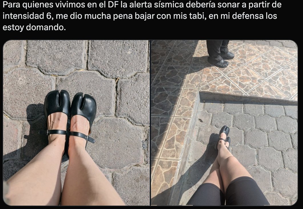 mon de león tweet media