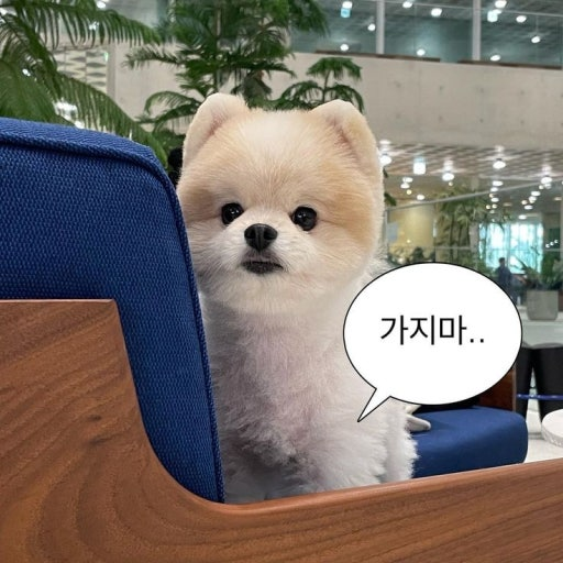 환아 tweet media