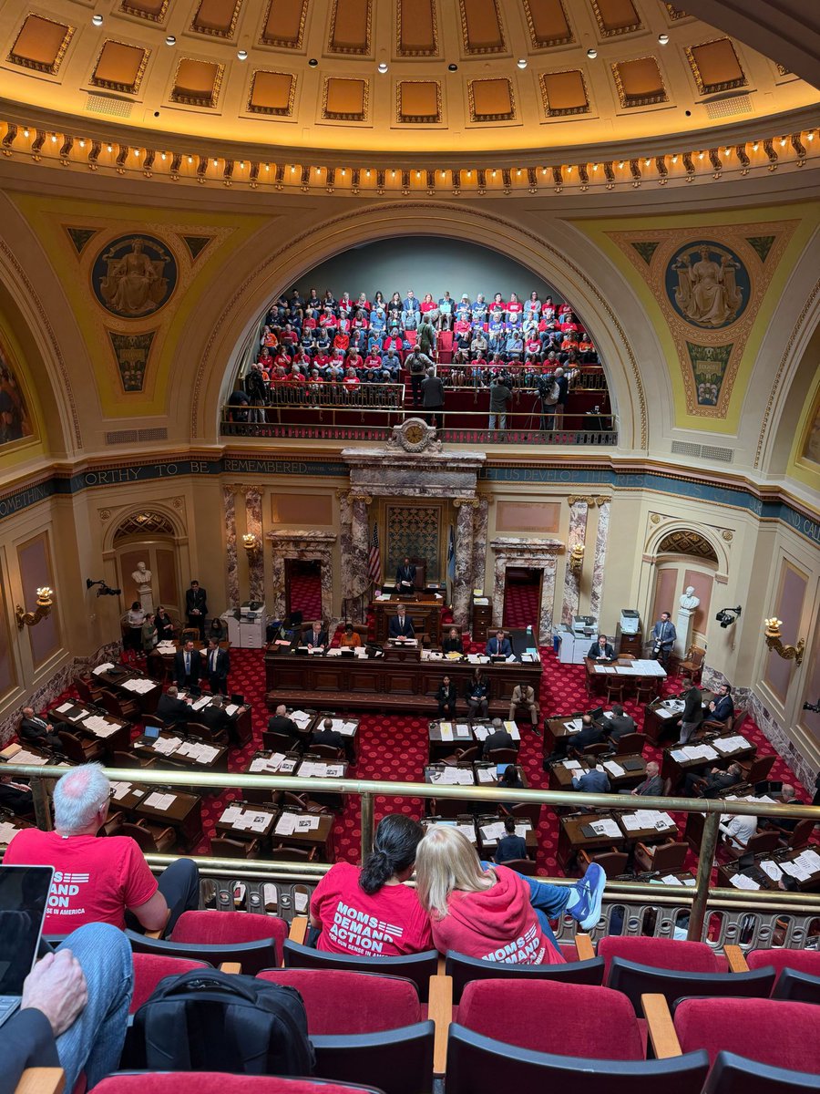 MN Gun Owners Caucus tweet media