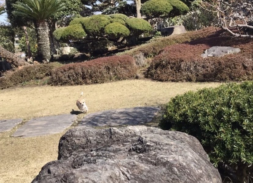 あさひな tweet media