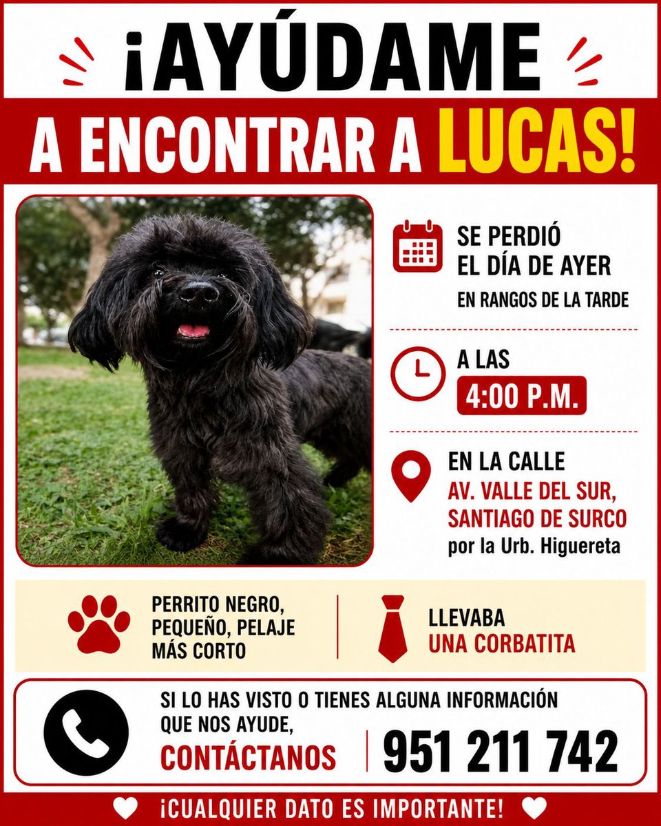 Pao Peralta 🐶 Rescatando Perritos 🇵🇪 tweet media