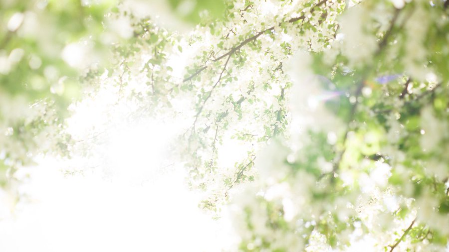 CAFODSalford's tweet image. Our #prayer from this week's gospel reflection 🙏

Risen Lord,
come to us and transform us
so that we may reveal your love in our world
by the way we live our lives.
Amen.

Sign up for our weekly reflection and prayer email sent every Friday. ⤵️

cafod.org.uk/weekly-reflect…