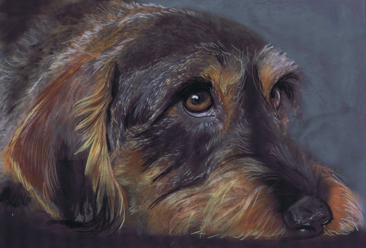 OscarJetson's tweet image. Custom Pastel Dog Portraits by Oscar Jetson dogfishart.com/products/custo… #art #OscarJetson #painting