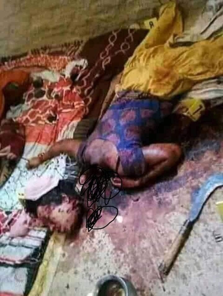 ክው tweet media