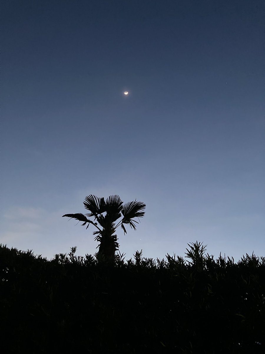 Baspis_sakaban8's tweet image. 月がそこそこ綺麗

#月 #お月様 #moon #moonlight #そこそこ綺麗 #絶妙な美しさ #中途半端な感動 #夜空 #nightview #ルナ #luna #月が綺麗ですね #ではない #そこそこ #可もなく不可もなく #月見 #ムーンパワー #天体観測 #空がある風景 #夜更かし #眠くない #月が好きな人と繋がりたい #夜の散歩