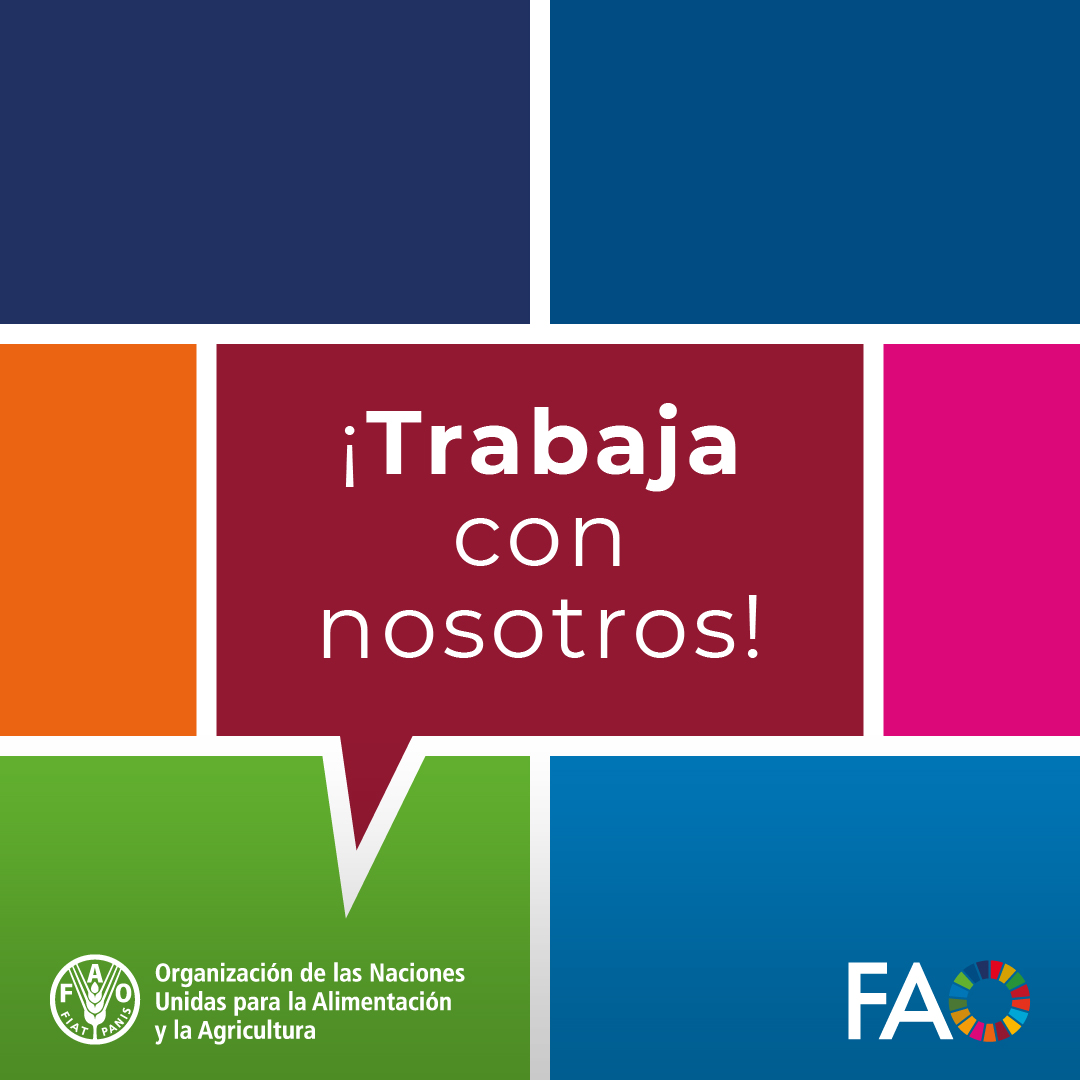 FAO Mesoamérica tweet media
