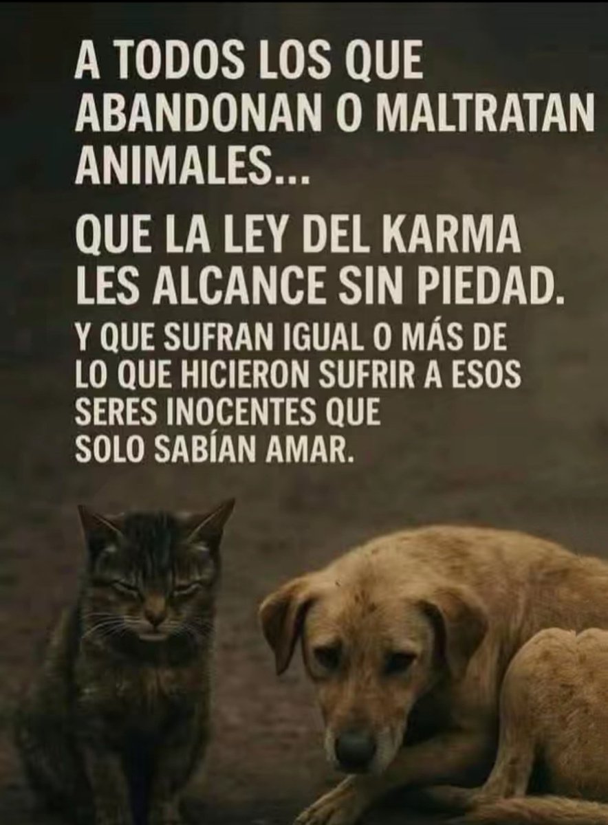 💫Chelo💫 tweet media