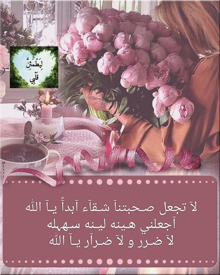 ִֶָ. 𖹭 ࣪ ִֶָ 𝓡𝓞𝓩𝓐  tweet media