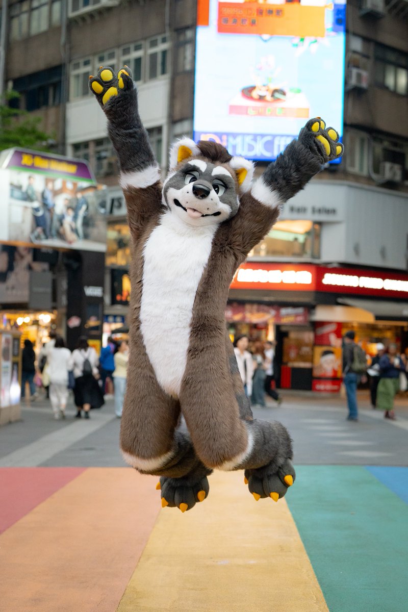 PRS_Raccoon's tweet image. 🌈またねっ！🐾台湾！🇹🇼🔜🇯🇵

🌈再見！ 🐾台灣！ 🇹🇼🔜🇯🇵

📸(@56marutora )
#Fursuiteveryday 
#Taiwan #Ximen