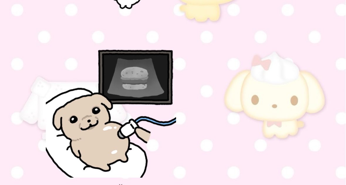 🐰🪽 tweet media