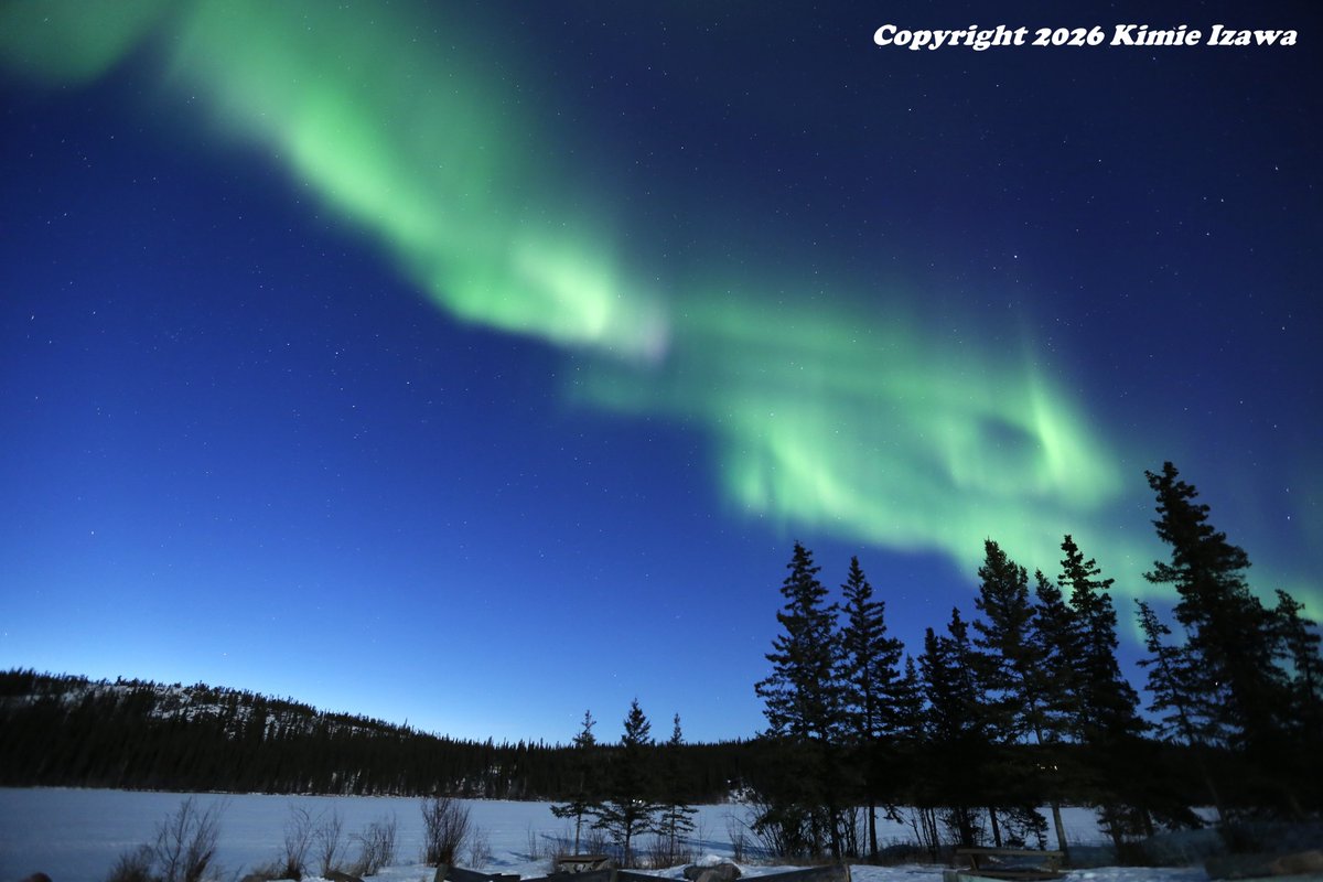 audrey19740719's tweet photo. #Aurora from #Yellowknife at #Madelinelake
Apr 28-29, 2026 Tue-Wed 11:30pm-2:30am -4℃ Clear
#NWT #ExploreNWT #SpectacularNWT
#northwestterritory #northernlights
#イエローナイフ #ノースウェストテリトリー
#オーロラ #オーロラ姫 #春オーロラ https://t.co/XvBtCfPh2Q