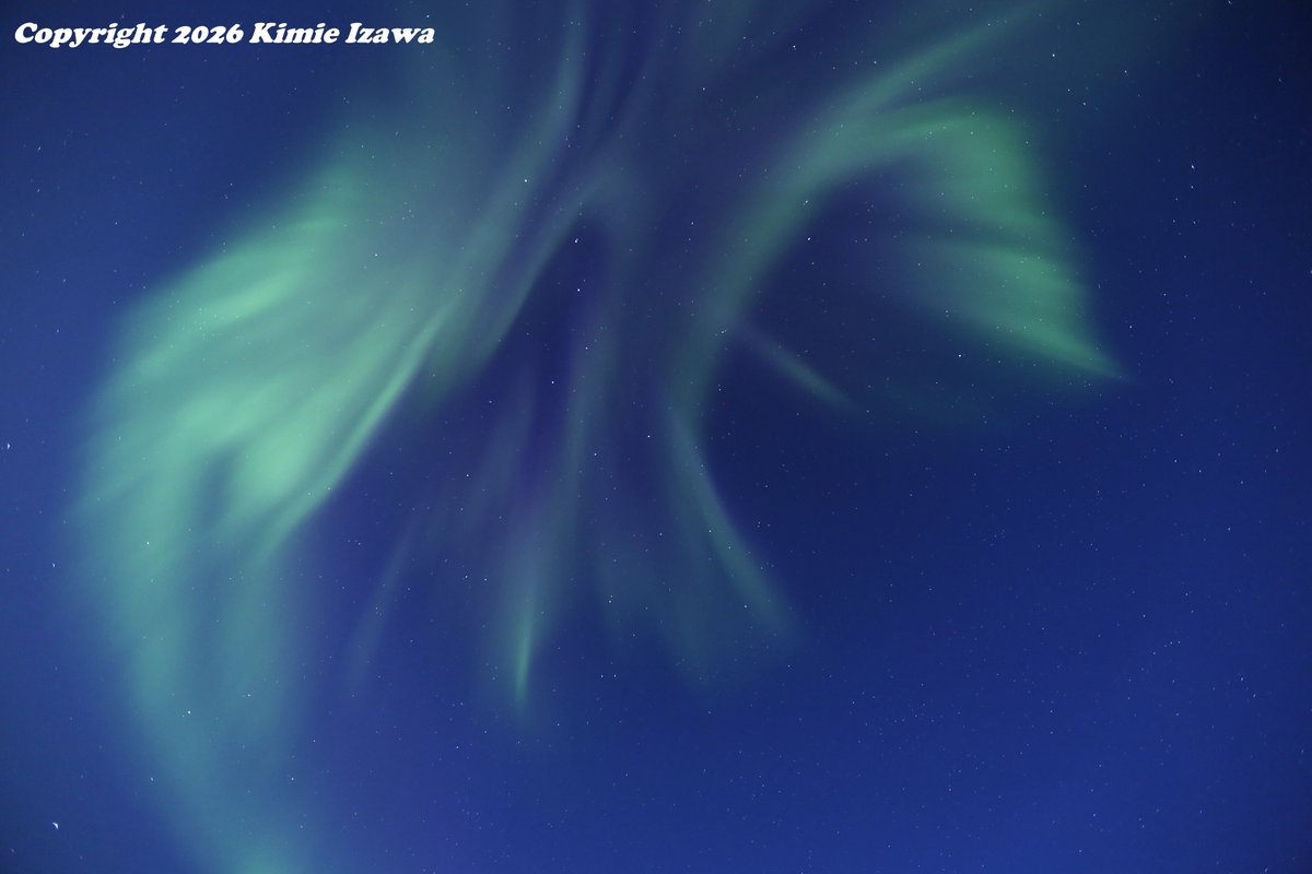 audrey19740719's tweet photo. #Aurora from #Yellowknife at #Madelinelake
Apr 28-29, 2026 Tue-Wed 11:30pm-2:30am -4℃ Clear
#NWT #ExploreNWT #SpectacularNWT
#northwestterritory #northernlights
#イエローナイフ #ノースウェストテリトリー
#オーロラ #オーロラ姫 #春オーロラ https://t.co/XvBtCfPh2Q
