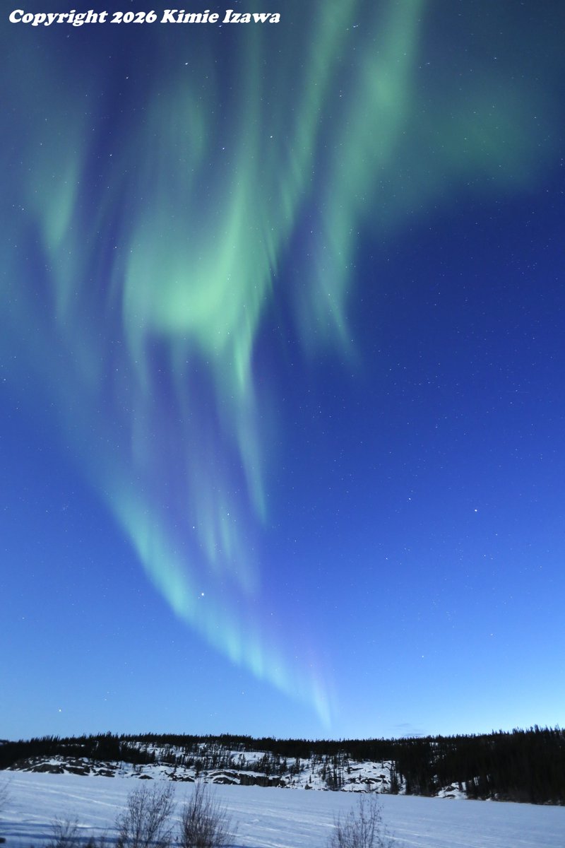 audrey19740719's tweet photo. #Aurora from #Yellowknife at #Madelinelake
Apr 28-29, 2026 Tue-Wed 11:30pm-2:30am -4℃ Clear
#NWT #ExploreNWT #SpectacularNWT
#northwestterritory #northernlights
#イエローナイフ #ノースウェストテリトリー
#オーロラ #オーロラ姫 #春オーロラ https://t.co/XvBtCfPh2Q