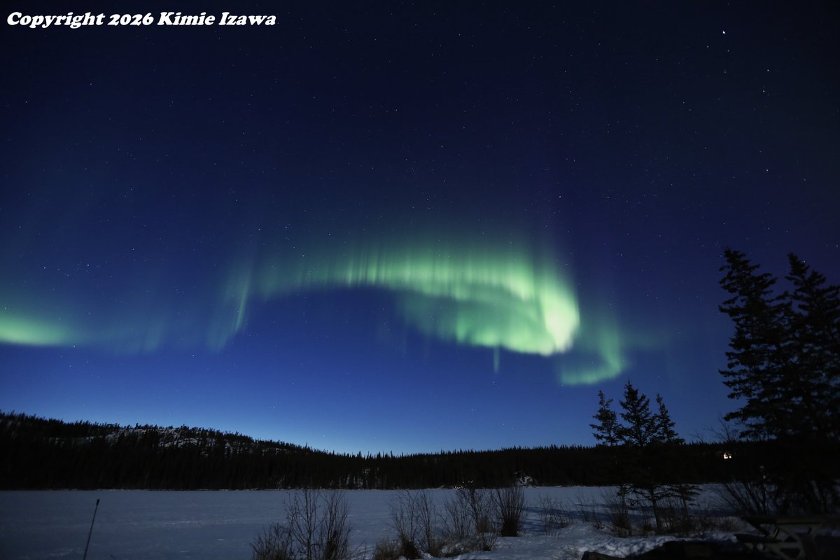 audrey19740719's tweet photo. #Aurora from #Yellowknife at #Madelinelake
Apr 28-29, 2026 Tue-Wed 11:30pm-2:30am -4℃ Clear
#NWT #ExploreNWT #SpectacularNWT
#northwestterritory #northernlights
#イエローナイフ #ノースウェストテリトリー
#オーロラ #オーロラ姫 #春オーロラ https://t.co/8PI8sCaXy1