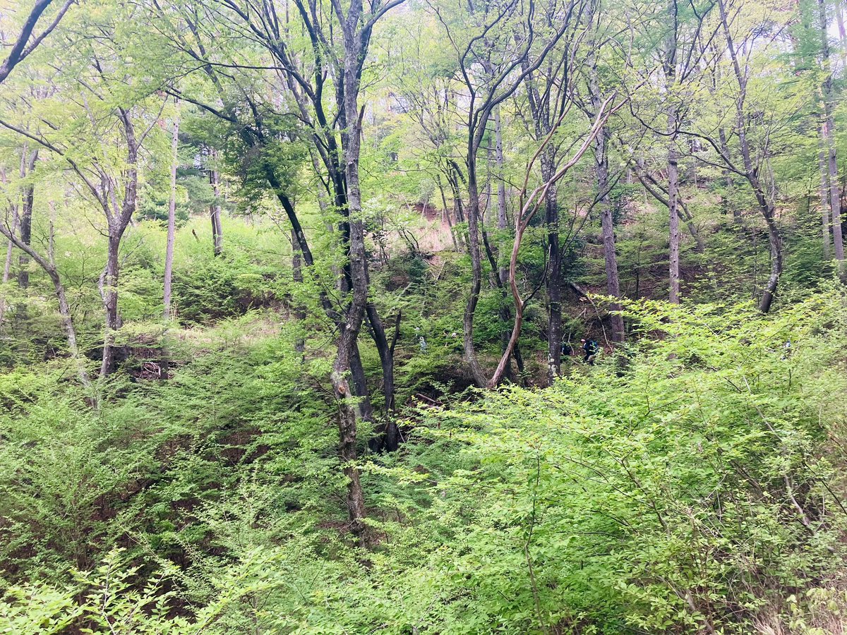 fynogi's tweet photo. 山登りしてきました！
体力なさすぎたけど頑張って登頂(∩´∀｀)∩
曇りなぶん涼しくて良かった https://t.co/NZLY3J325Y