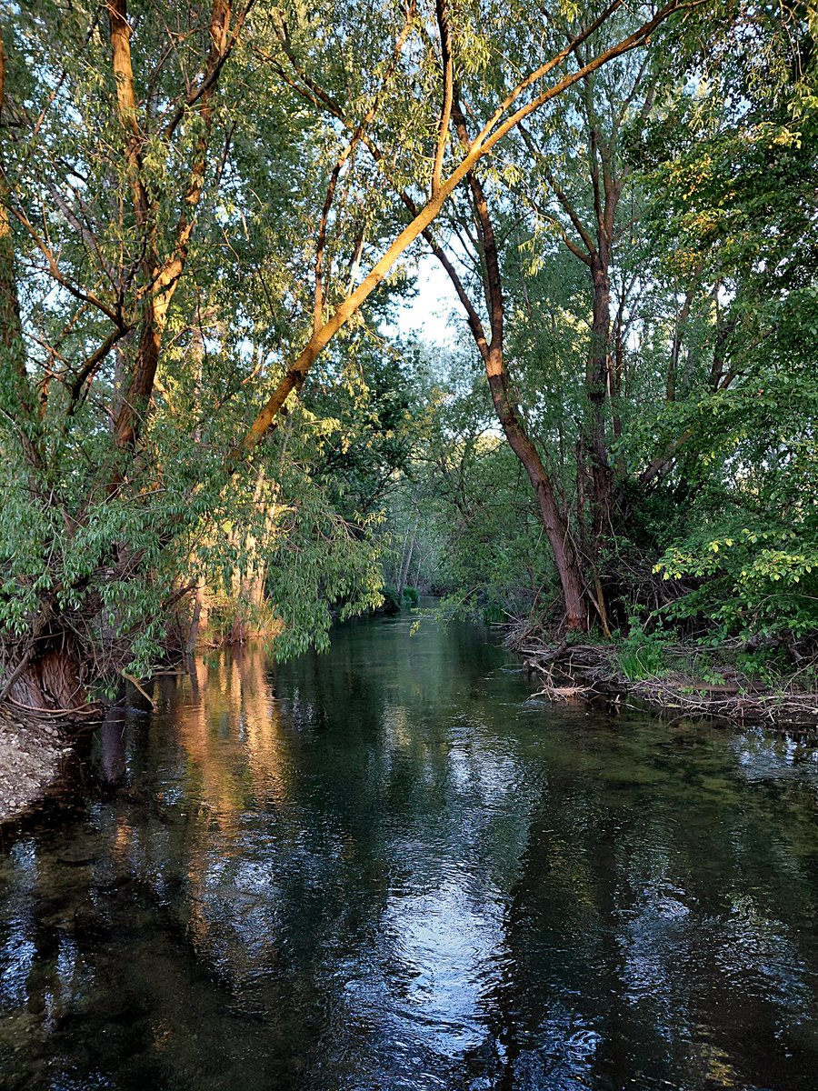 7lostinthewoods's tweet photo. at the river last night https://t.co/pmqkn3CR07