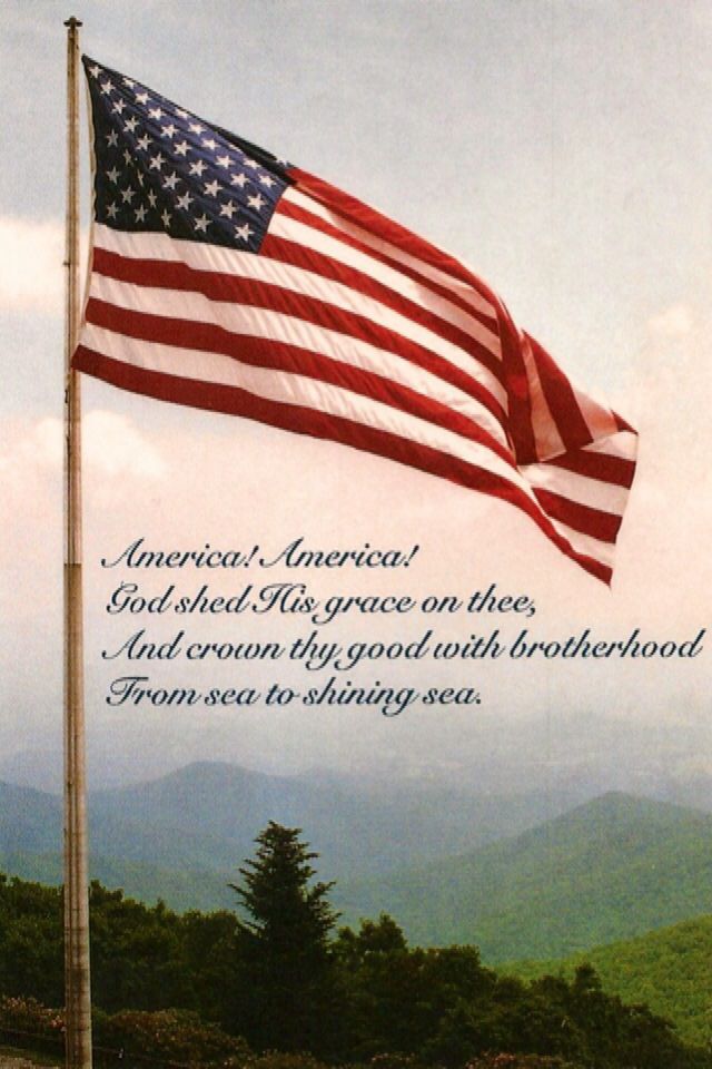 American Nostalgia tweet media