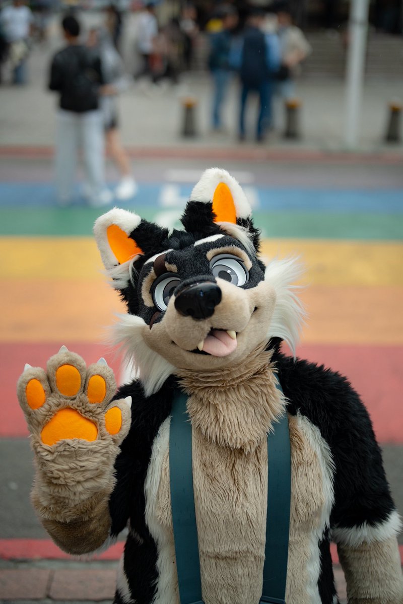 weaverkun's tweet image. 🌈またねっ！🐾台湾！🇹🇼🔜🇯🇵

🌈再見！ 🐾台灣！ 🇹🇼🔜🇯🇵

📸(@56marutora )
#Fursuiteveryday 
#Taiwan #Ximen