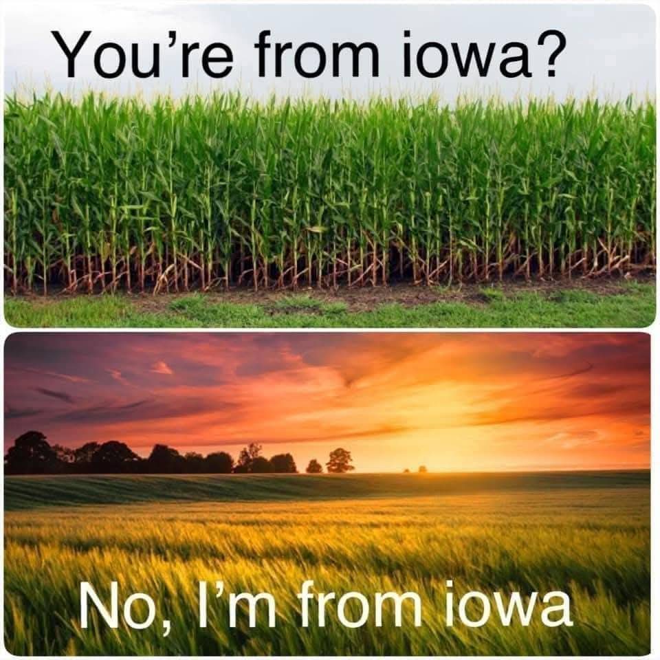 Iowamom tweet media