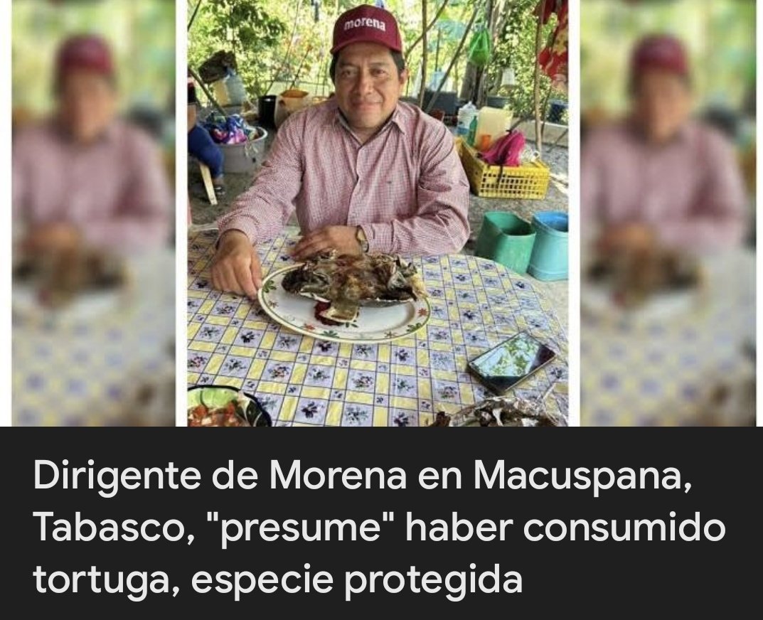 ZuritaCarpio tweet media